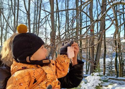 Leluki Żółte dbają o ptaki zimą – wywieszanie słoninki na drzewach