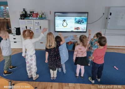 Zwierzęta Antarktydy