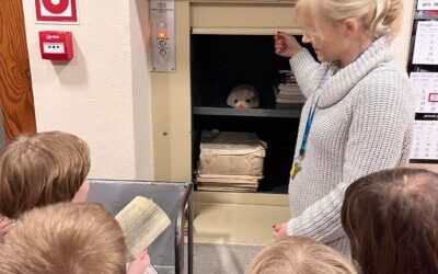 Spacer po bibliotece pełnej tajemnic