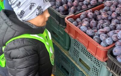 WYCIECZKA NA TARG – PROJEKT KULINARNY pt. „Leluki na tropie smaków”