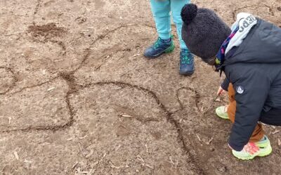 OGÓLNOPOLSKI PROJEKT EDUKACYJNY –  „Z darami natury świat nie jest ponury!” Zadanie: „Patykiem pisane”