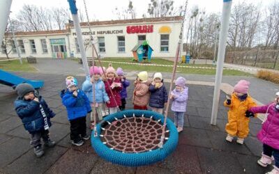 Śladami zaginionej kotki Teosi