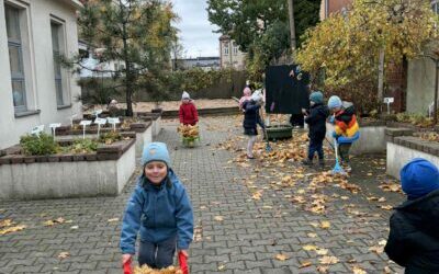 Jesienne porządki :)