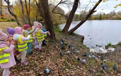 Przygotowania do zimy